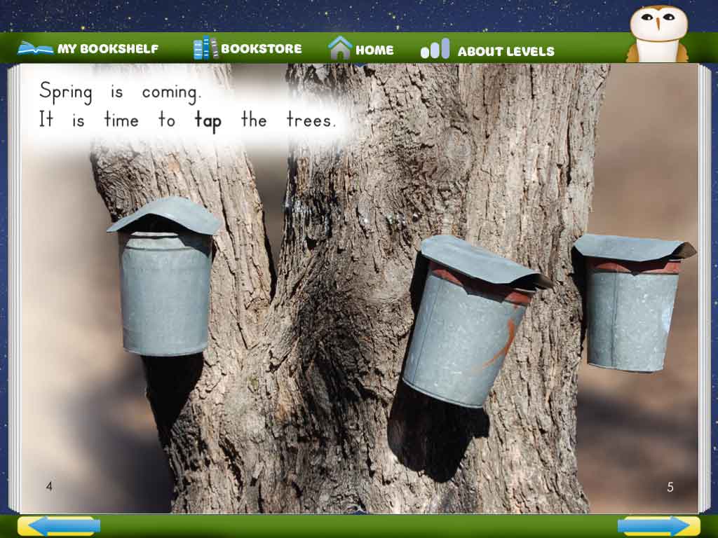 Making Maple Syrup