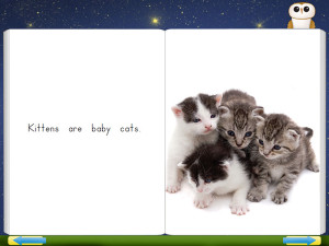 kittens-preview