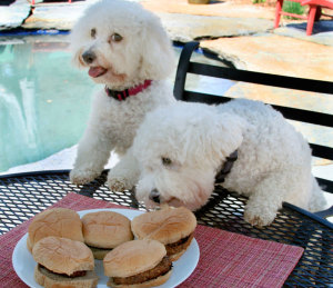 Bella and Rosie eat burgers